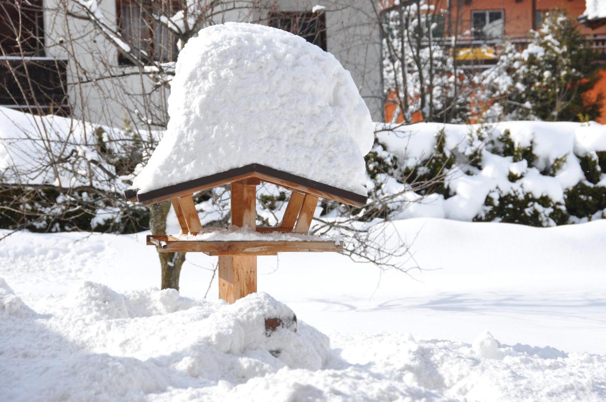 Pension Schmidinger Kitzbühel Buitenkant foto